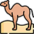 Self Drive to Desert Safari | short camel ride