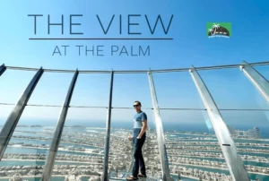 view at the palm